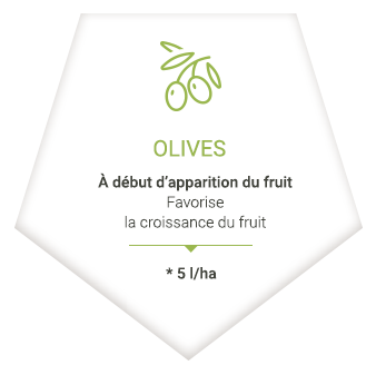 olives