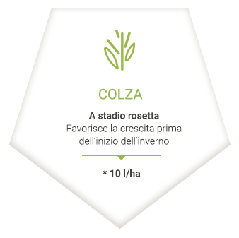 applications_it_colza